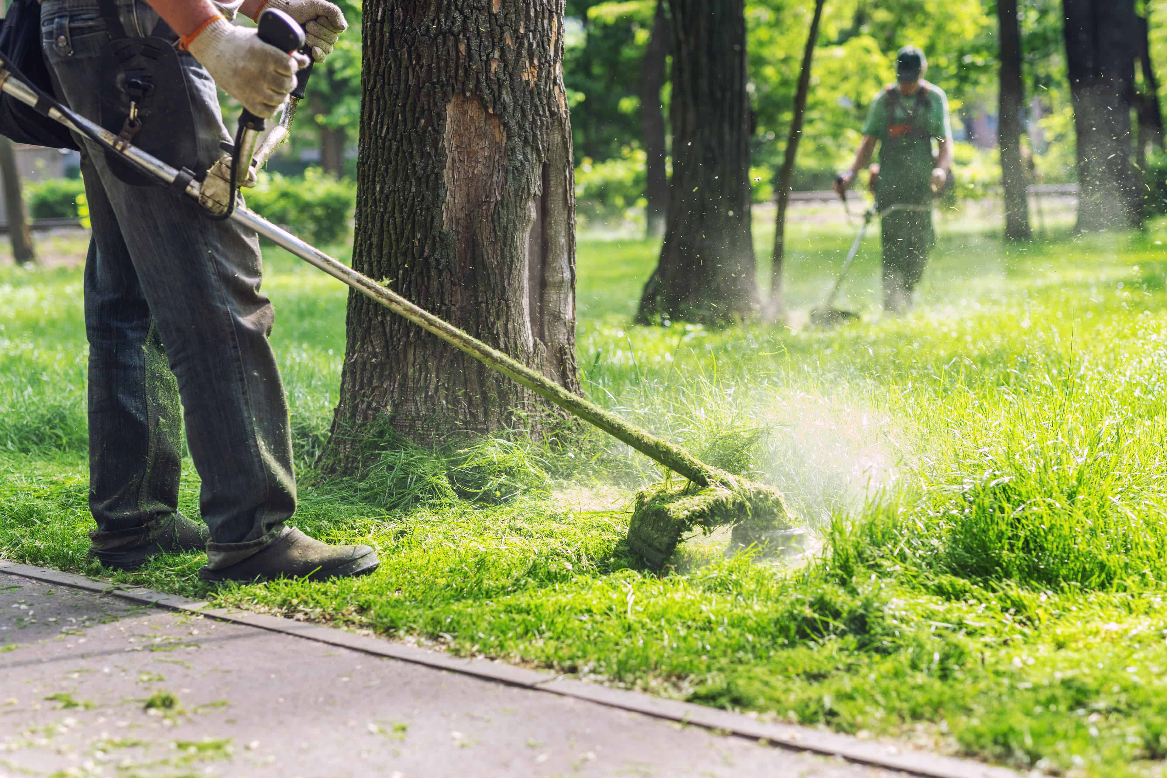 Lawn Care & Maintenance image