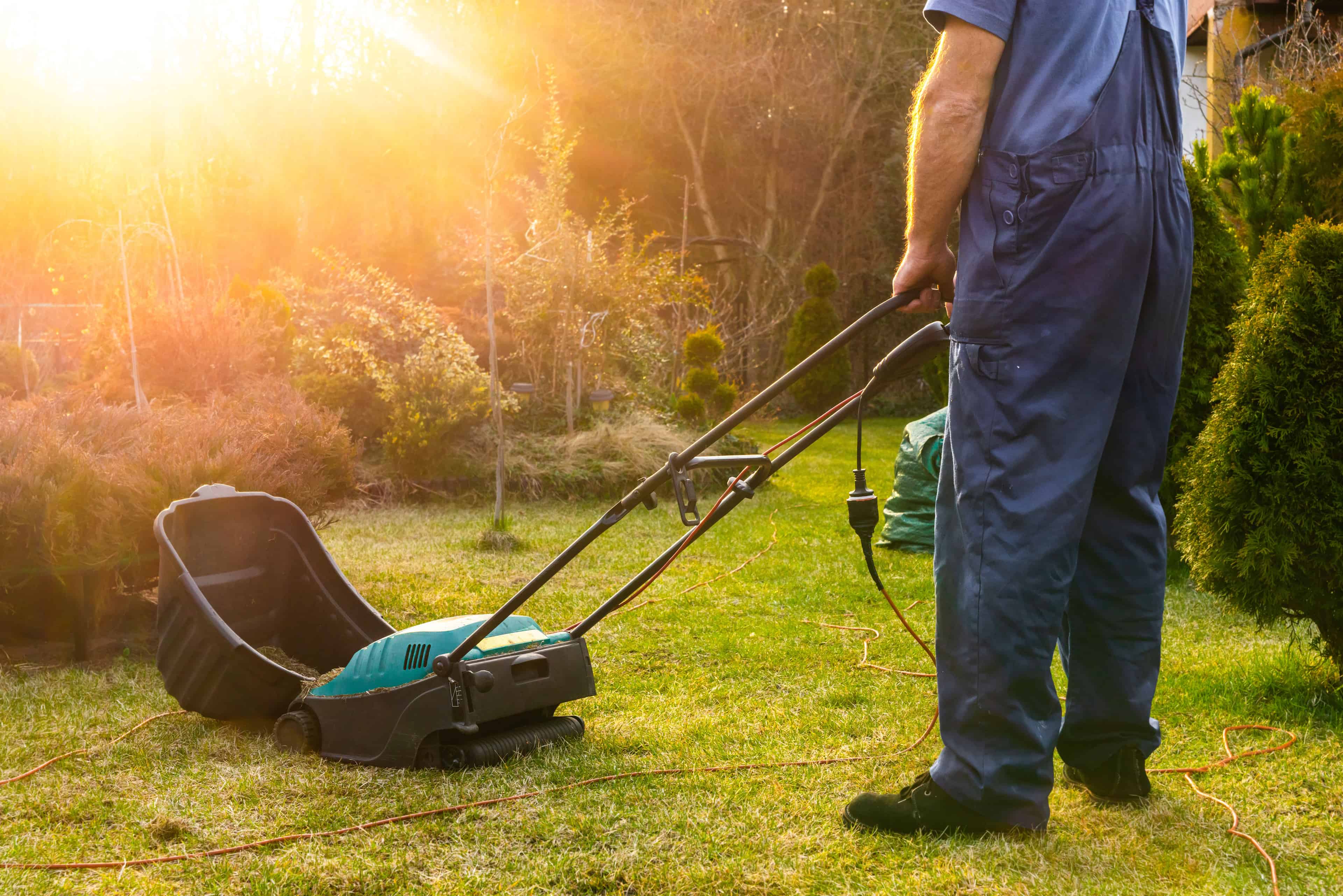 Lawn Aeration & Overseeding image
