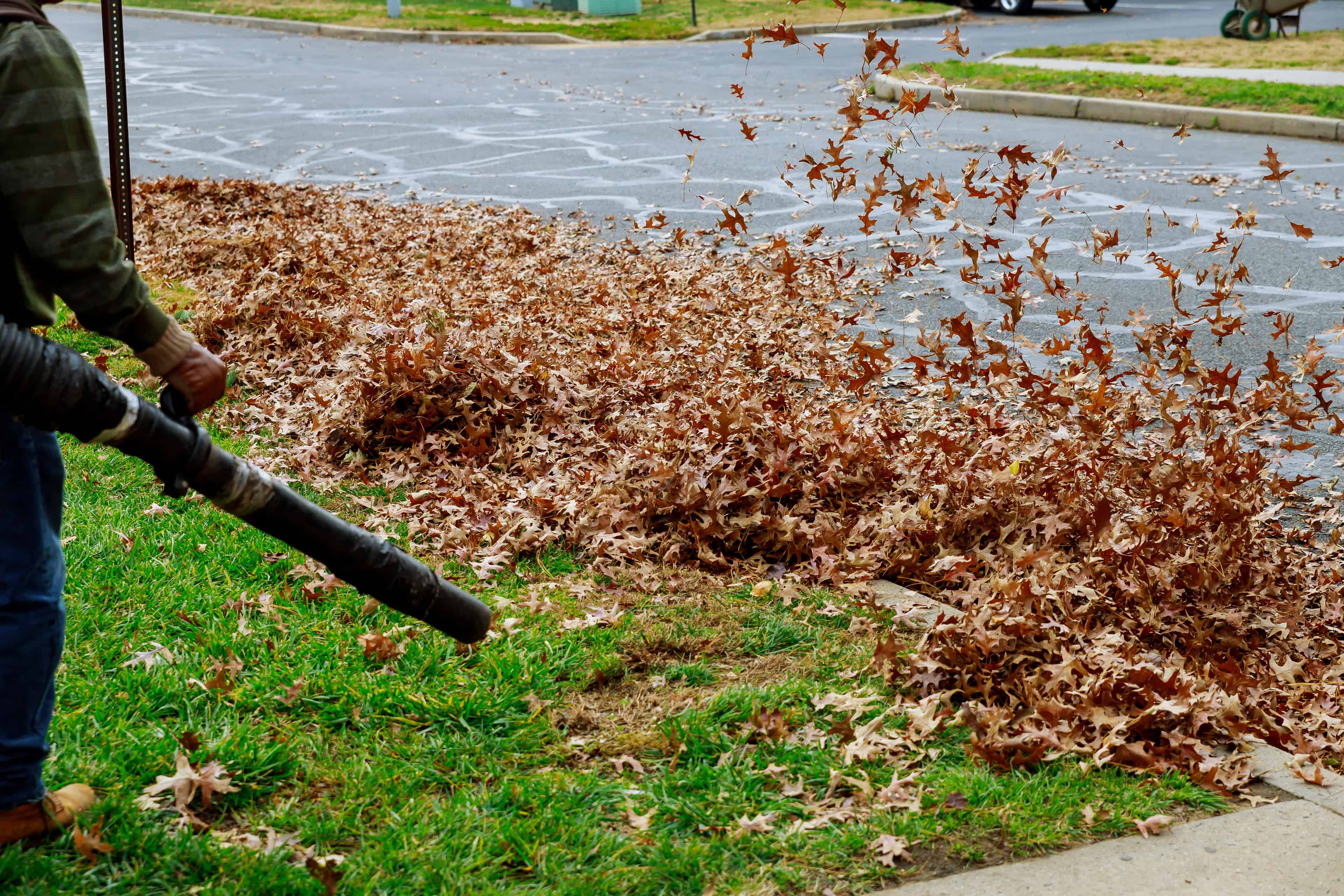 Spring Yard Cleanup image